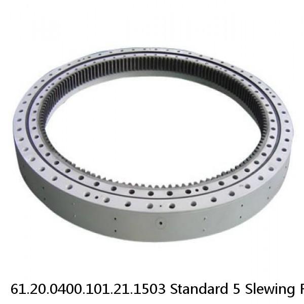 61.20.0400.101.21.1503 Standard 5 Slewing Ring Bearings