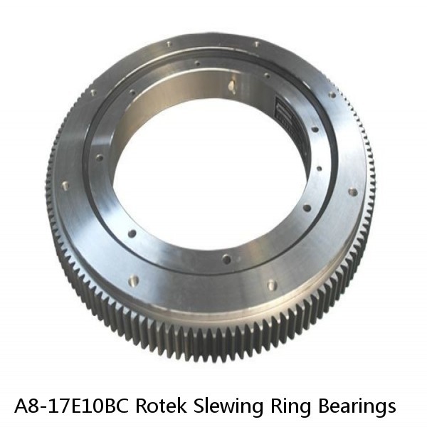 A8-17E10BC Rotek Slewing Ring Bearings