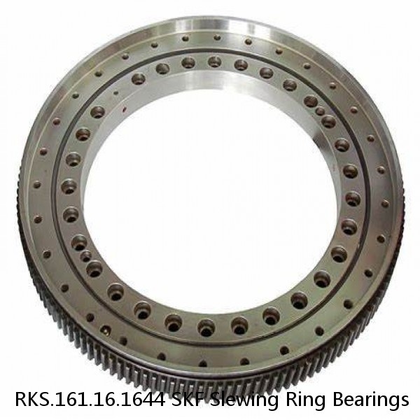 RKS.161.16.1644 SKF Slewing Ring Bearings