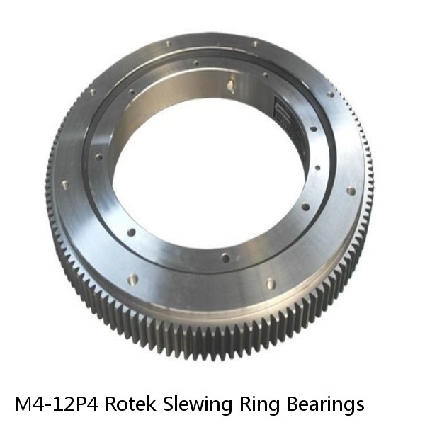 M4-12P4 Rotek Slewing Ring Bearings