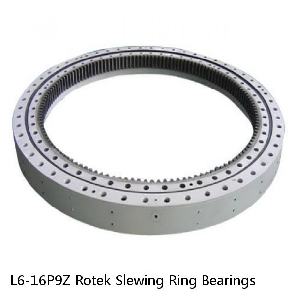 L6-16P9Z Rotek Slewing Ring Bearings