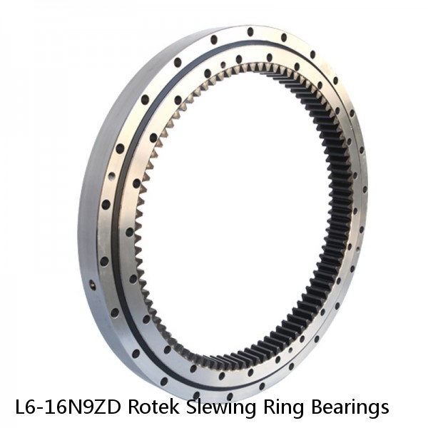 L6-16N9ZD Rotek Slewing Ring Bearings