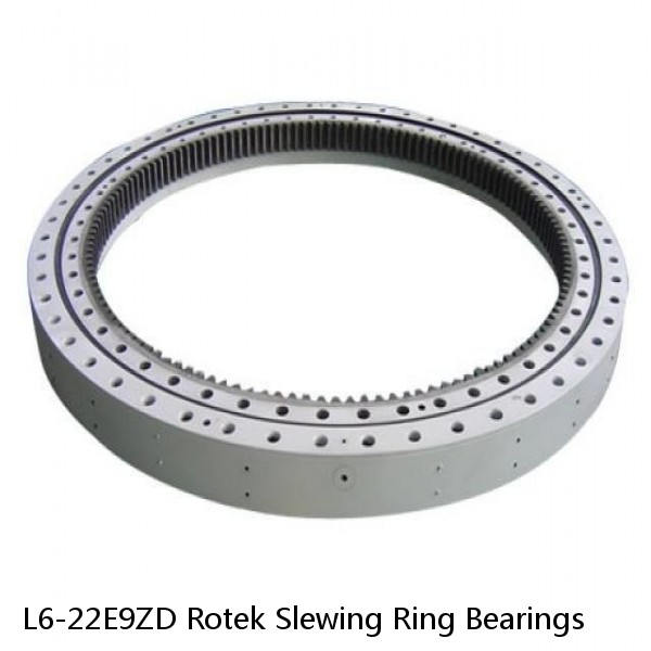 L6-22E9ZD Rotek Slewing Ring Bearings