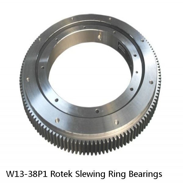 W13-38P1 Rotek Slewing Ring Bearings