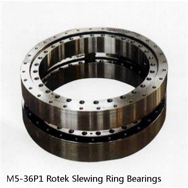 M5-36P1 Rotek Slewing Ring Bearings