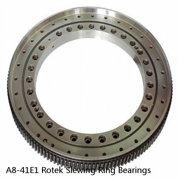 A8-41E1 Rotek Slewing Ring Bearings