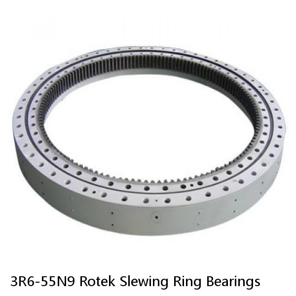 3R6-55N9 Rotek Slewing Ring Bearings