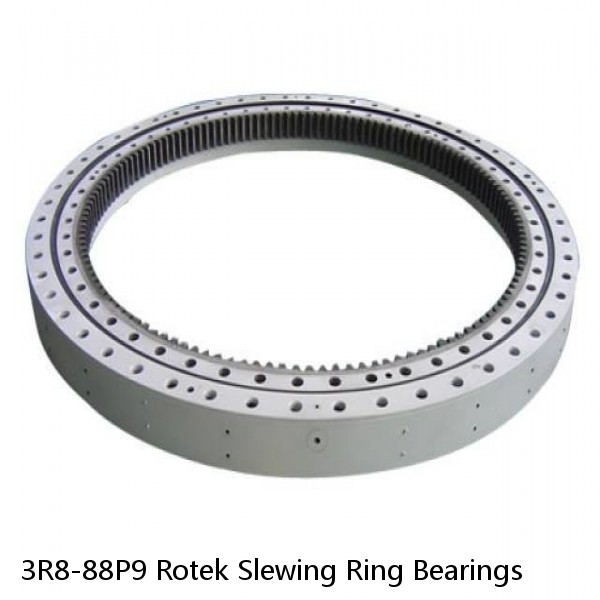 3R8-88P9 Rotek Slewing Ring Bearings