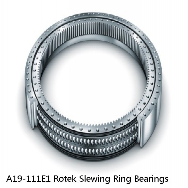 A19-111E1 Rotek Slewing Ring Bearings