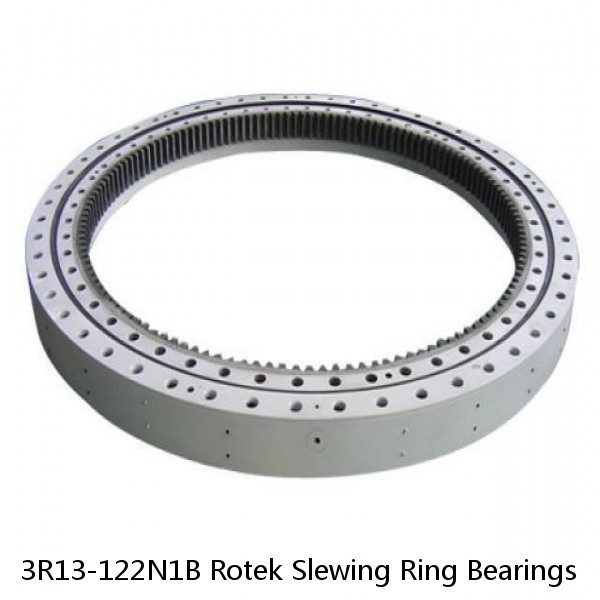 3R13-122N1B Rotek Slewing Ring Bearings