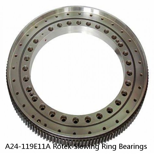 A24-119E11A Rotek Slewing Ring Bearings