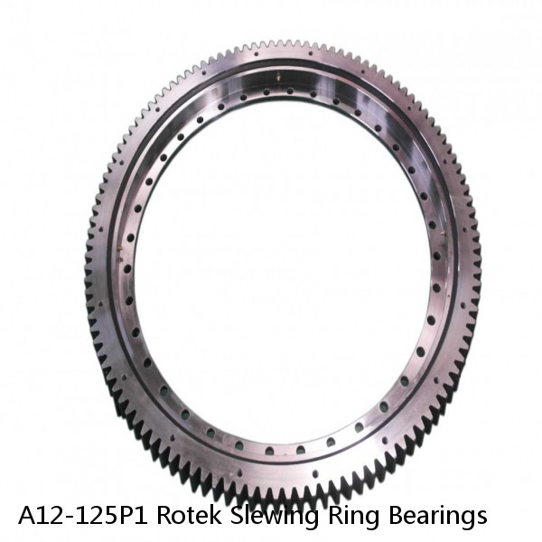 A12-125P1 Rotek Slewing Ring Bearings