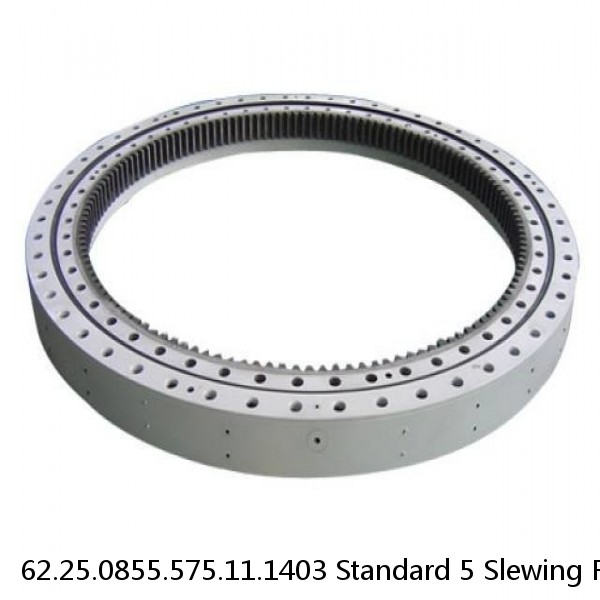 62.25.0855.575.11.1403 Standard 5 Slewing Ring Bearings