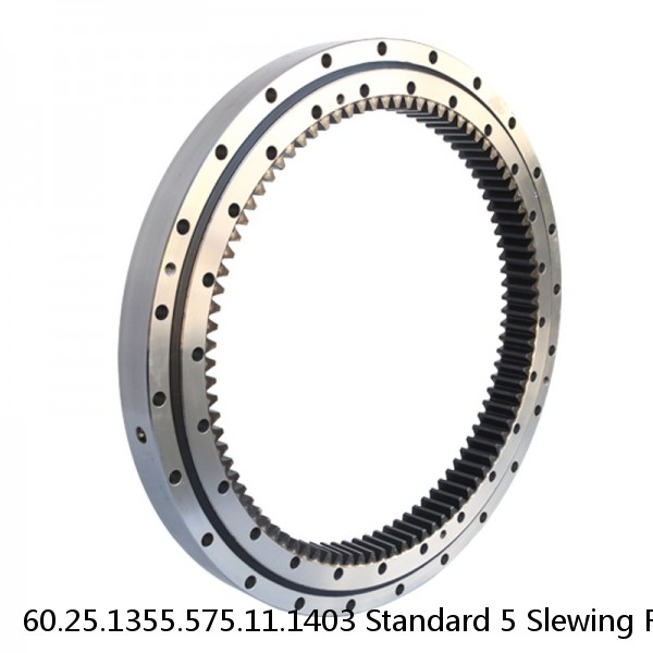 60.25.1355.575.11.1403 Standard 5 Slewing Ring Bearings