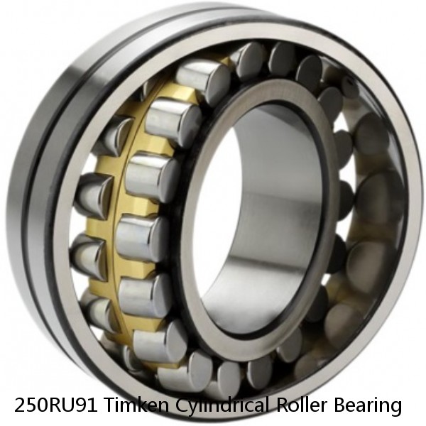 250RU91 Timken Cylindrical Roller Bearing