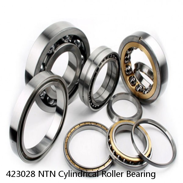 423028 NTN Cylindrical Roller Bearing