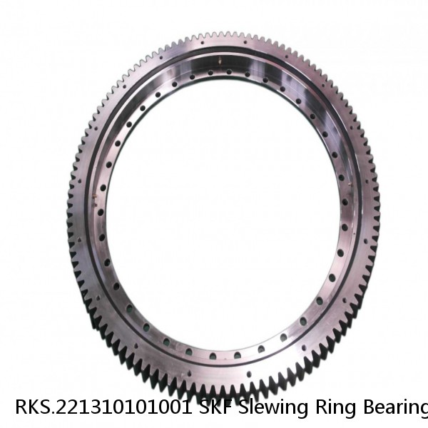 RKS.221310101001 SKF Slewing Ring Bearings