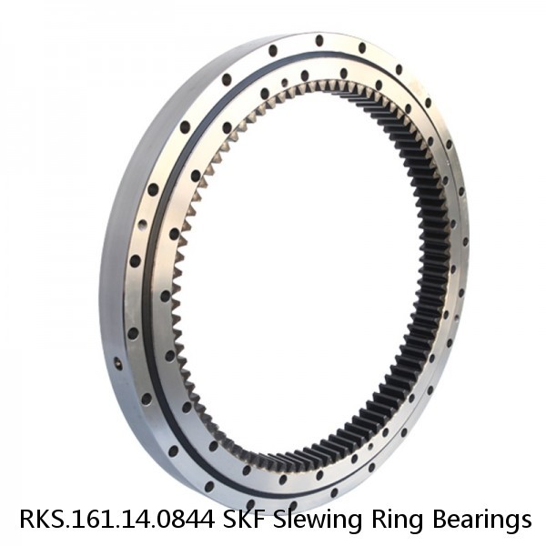 RKS.161.14.0844 SKF Slewing Ring Bearings