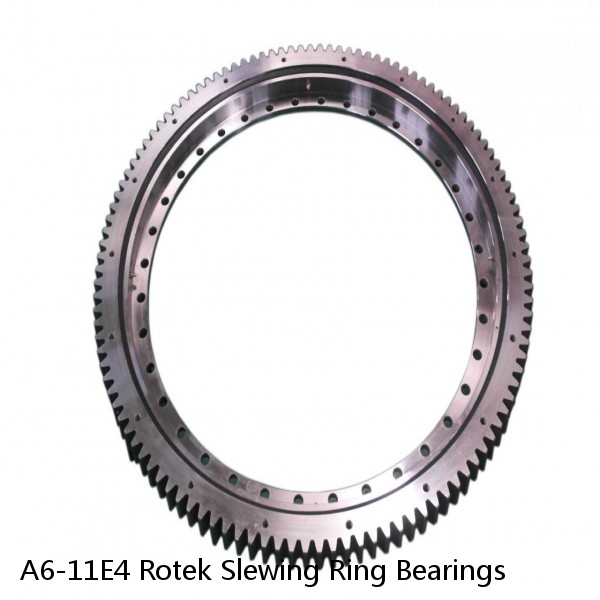 A6-11E4 Rotek Slewing Ring Bearings