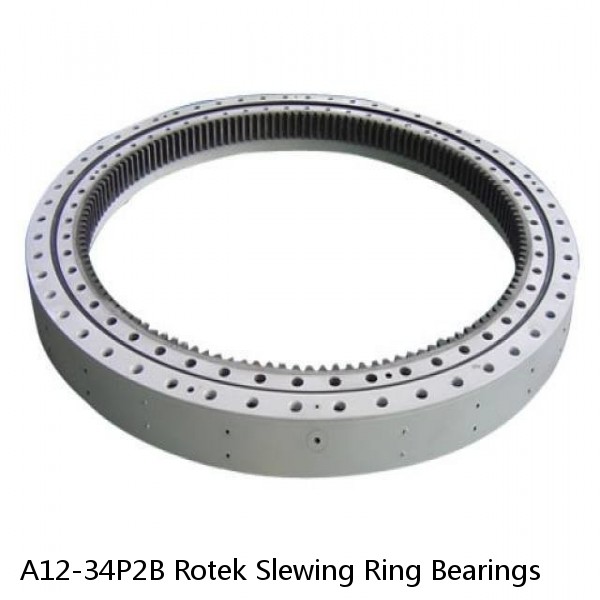 A12-34P2B Rotek Slewing Ring Bearings