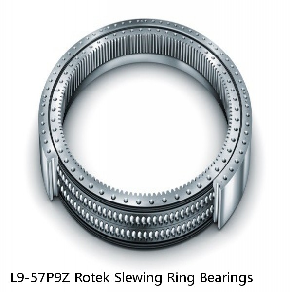 L9-57P9Z Rotek Slewing Ring Bearings