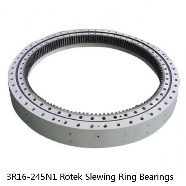 3R16-245N1 Rotek Slewing Ring Bearings