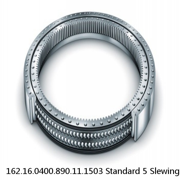 162.16.0400.890.11.1503 Standard 5 Slewing Ring Bearings