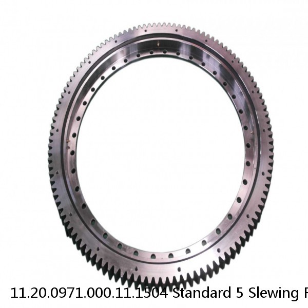 11.20.0971.000.11.1504 Standard 5 Slewing Ring Bearings