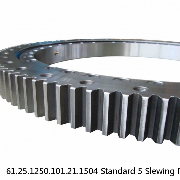 61.25.1250.101.21.1504 Standard 5 Slewing Ring Bearings